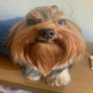 Steam Community :: БАЙЛАНДО