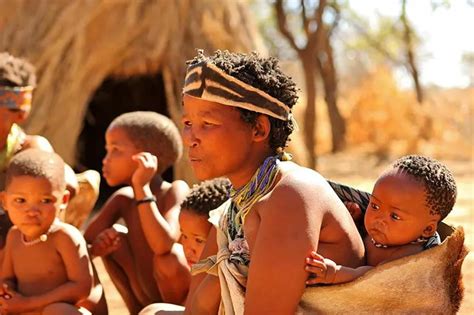 visit himba damara san herero tribes  namibia