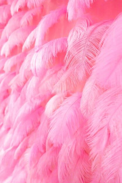 premium photo  bunch  pink feathers