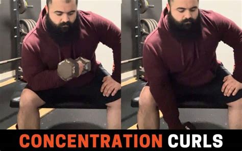 8 Best Exercises for a Dumbbell Bicep Workout | PowerliftingTechnique.com