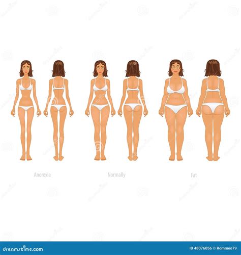 Vector Illustration of Different Body Types, Set Stock Vector