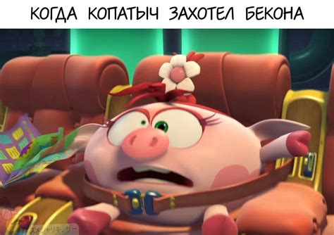 Мемы по смешарикам #2 | Мемы Amino Amino