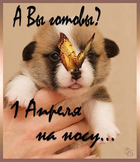 ☆Отправлено через https://vk.com/top_cards#3145857 | Наталья Заверуха ...