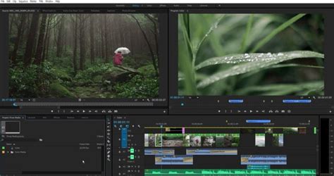Adobe Premiere Pro Price And Highlights: Best For Professional Editors ...