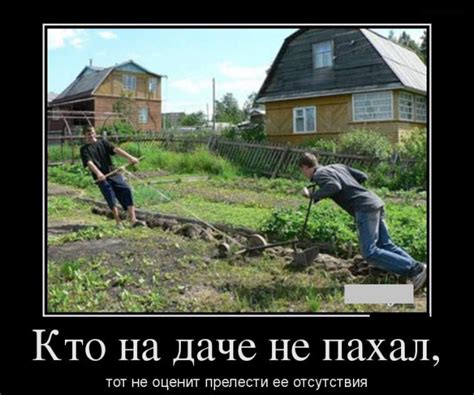 Прикольные картинки про дачу: 50+ фото | Klike.net