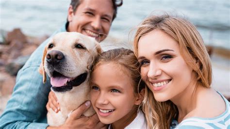 pamper  pups  americas  dog friendly beaches savoteur