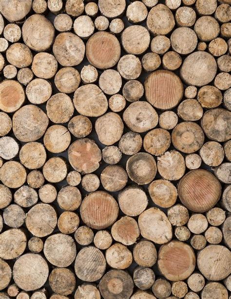 Download free image of Cut wood log texture background, close up design ...