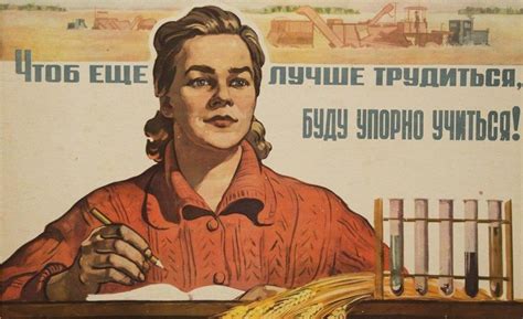 "Век живи – век учись": реальное значение фразы кроется в концовке ...