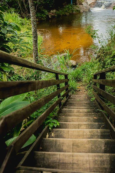 Brazilian+Naked+Girl Photos, Download The BEST Free Brazilian+Naked