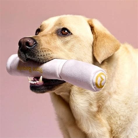 Rare Beauty | Makeup | Rare Beauty Pawfect Strokes Mascara Dog Toy Nwt ...