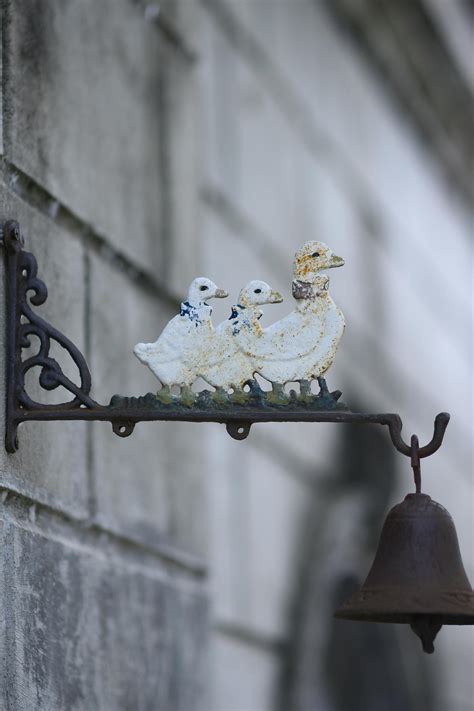 Kristen+Bell+Bikini Photos, Download The BEST Free Kristen+Bell+Bikini