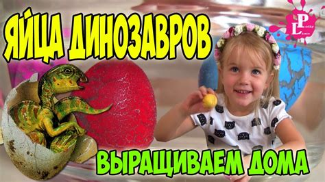 Растущие динозавры. Яйца динозавров растущие в воде игрушки Growing ...