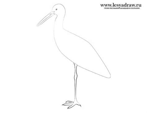 Рисунки аиста карандашом – Как нарисовать аиста карандашом поэтапно ...