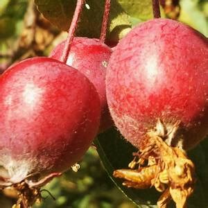 Богатая открытка на День Рождения мужчине