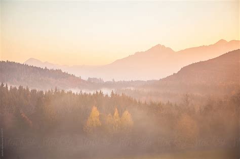 "Field In Morning Time" by Stocksy Contributor "Julia K" - Stocksy