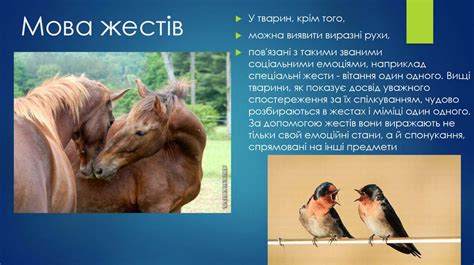 Спілкування тварин - презентация онлайн