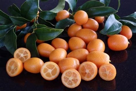 Кумкват - что это за фрукт, полезные свойства и как его есть