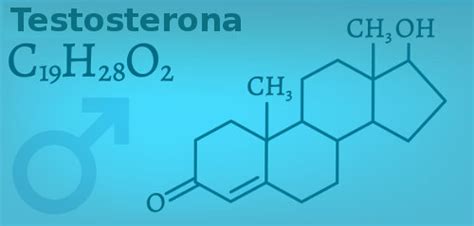 O Que É A Testosterona - Testosterona: o que é, baixa dos níveis, sintomas - Brasil Escola