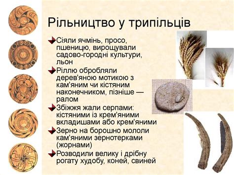 Трипільська культура - презентация онлайн