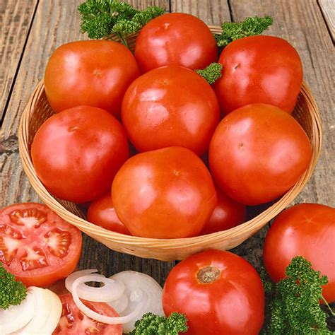 Tomato - Celebrity Hybrid VFFNT Seeds