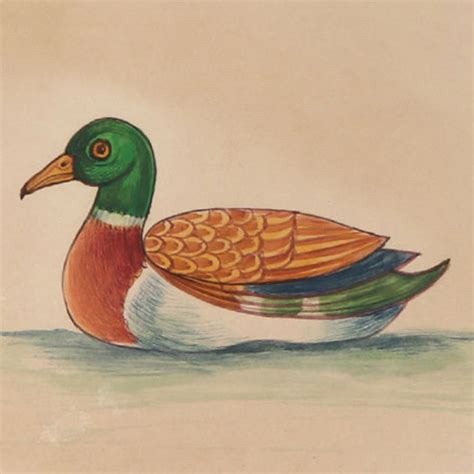 Miniature Wild Duck In Water Watercolor Painting