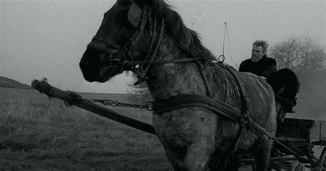 Taco Press: The Masterpiece Test: The Turin Horse