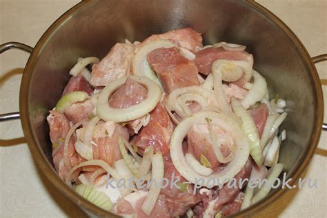 Быстрый маринад для шашлыка из свинины с киви — Катенок-Поваренок!