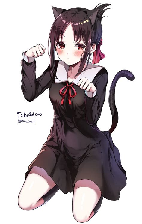 Neko Kaguya : r/Kaguya_sama