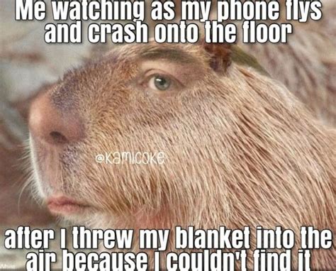 45 Capybara Memes Celebrating Quite Possibly The Chillest Animal Of All ...