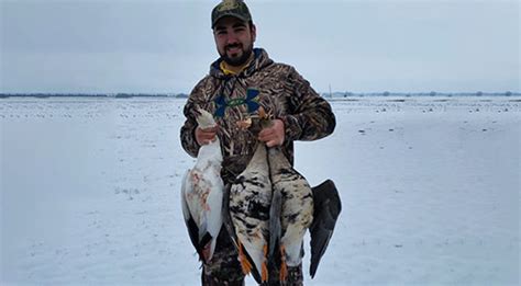 Specklebelly Goose Hunting Southern Illinois | Gander Hill Goose Club