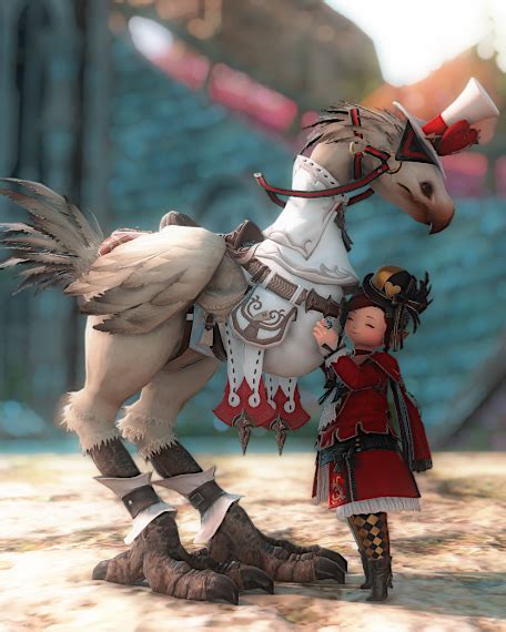 The Paramour | Eorzea Collection
