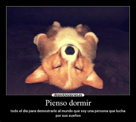Imágenes y Carteles de AMIGUITO | Desmotivaciones