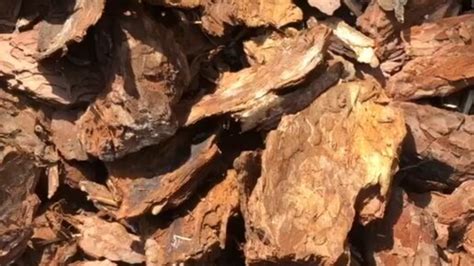 Фабрика Баркинвуд | Сравнение коры сосны и лиственницы для ...