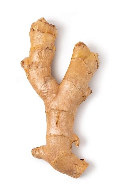 Premium Photo | Fresh ginger