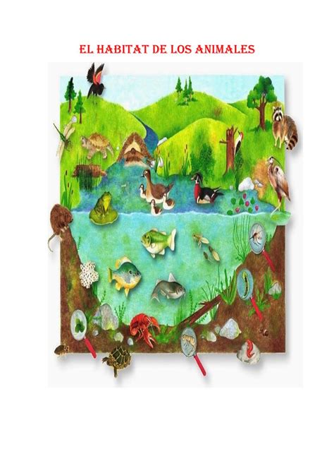 EL HABITAT DE LOS ANIMALES by Gabriela Gauna - Issuu