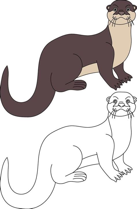Sea Otter Clipart. Outline and Colorful Otters 41950380 Vector Art at ...