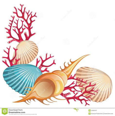 Seashells clipart 20 free Cliparts | Download images on Clipground 2024
