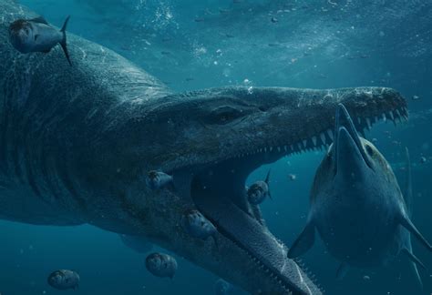 Bringing Attenborough’s Giant Sea Monster to Life