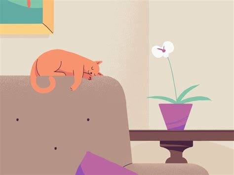 Cat nap | Motion design animation, Cat nap, Animated love images