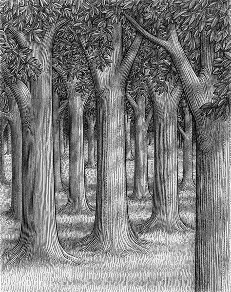 Forest Sketch Easy at PaintingValley.com | Explore collection of Forest ...
