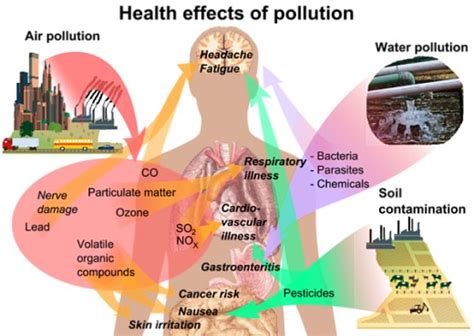 Pesticides effect - Asianmedic