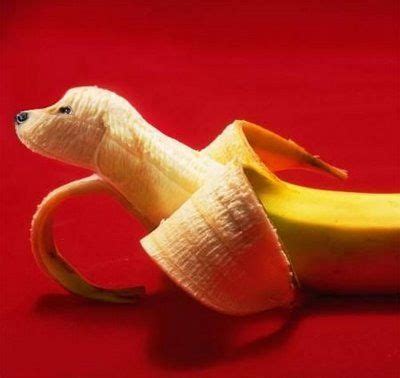 Funny Pictures Gallery: Funny food art, funny food images, funny food ...