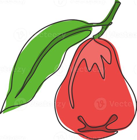 single  drawing   healthy organic bell fruit  orchard