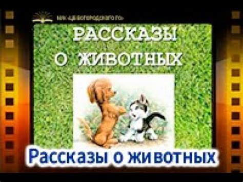 Рассказы о животных - YouTube