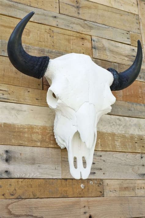 Faux Bison European Skull Wall Mount | Cast Horn Designs