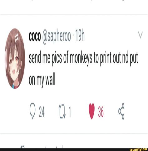 Enco SD 19 Send me is of monkeys to printout nd put on my ti - iFunny