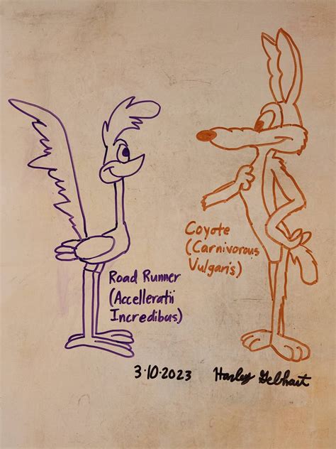 Road Runner and Coyote - 3-10-2023 by WhiteboardArtist on DeviantArt