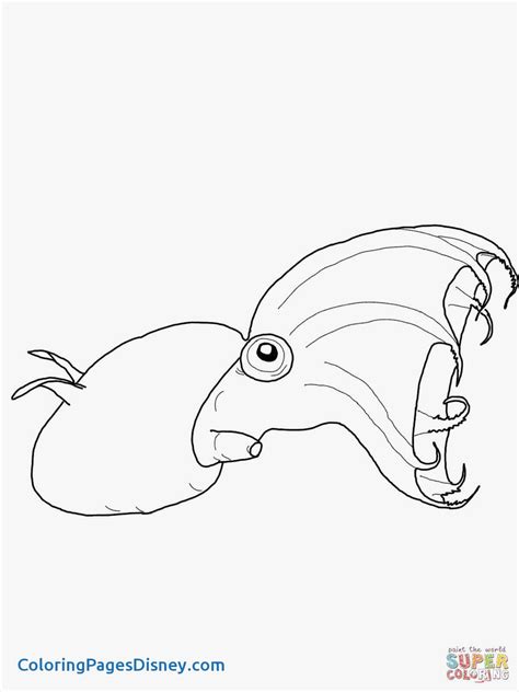 Giant Squid Coloring Page at GetColorings.com | Free printable ...