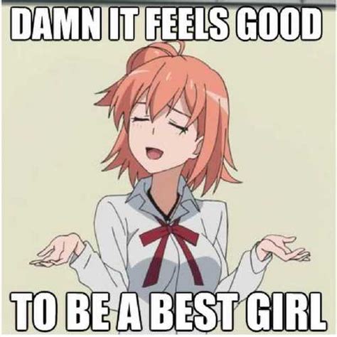 The Best of Japan: Top 50 Anime Memes!