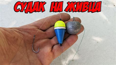 Судак на живца | монтаж оснастки с подводным поплавком - YouTube